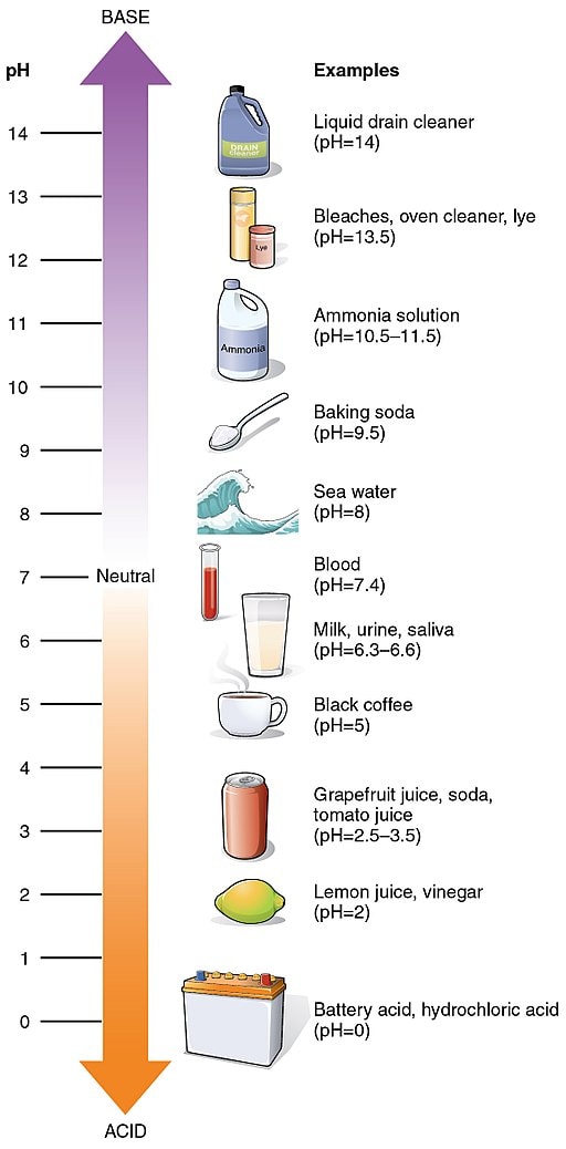 pH level chart