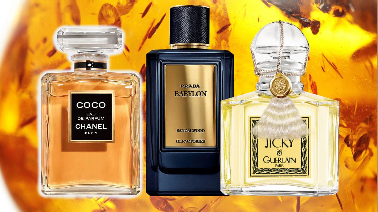 Best Perfumes With Sandalwood And Amber Main Image