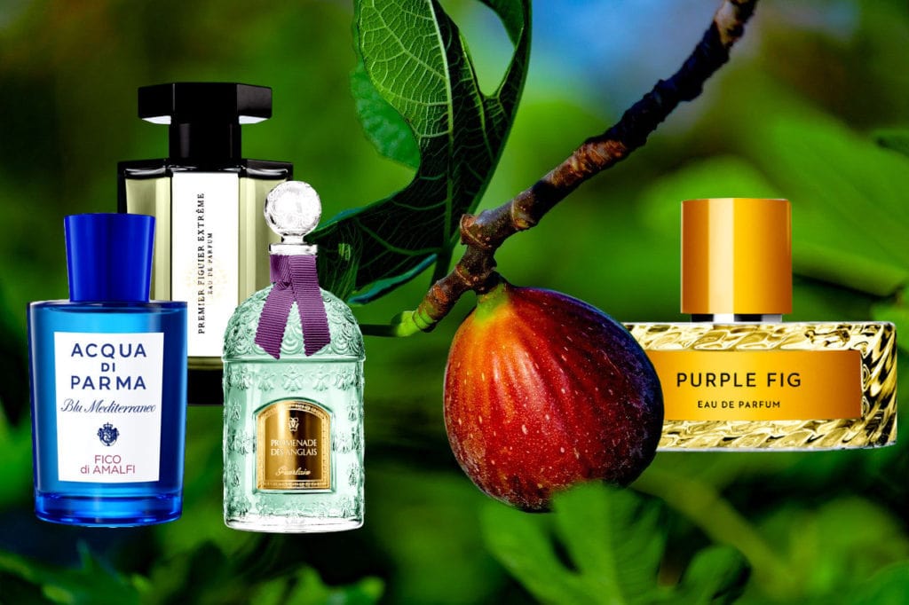 acqua di parma fig