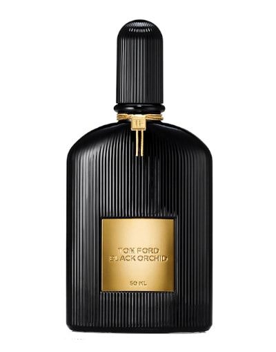 15 Best American Perfume Brands