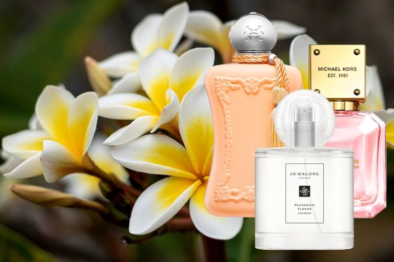 best frangipani perfumes