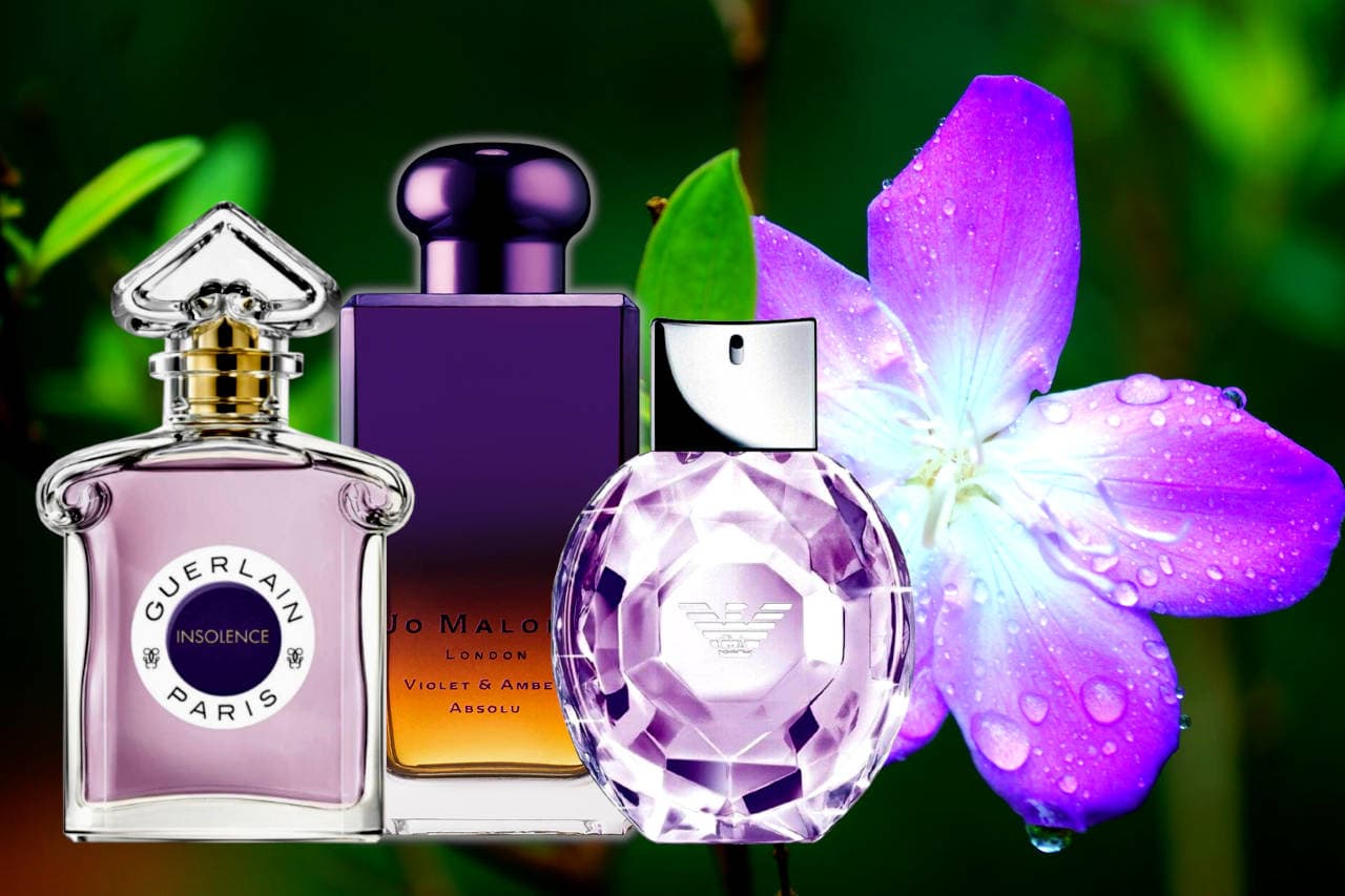 Best Perfumes With Violet