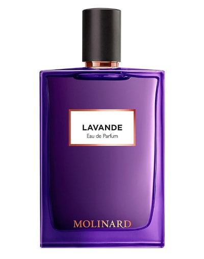 6 Enticing Lavender & Vanilla Perfumes for Her