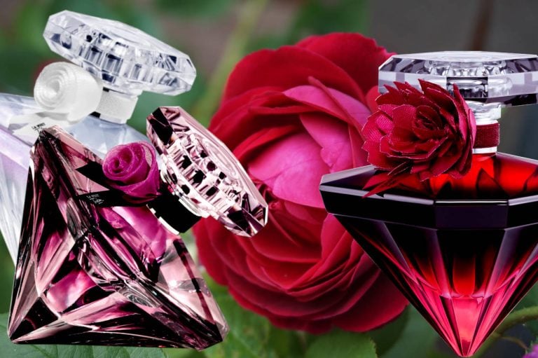 7 La Nuit Perfumes To Treasure | Viora London