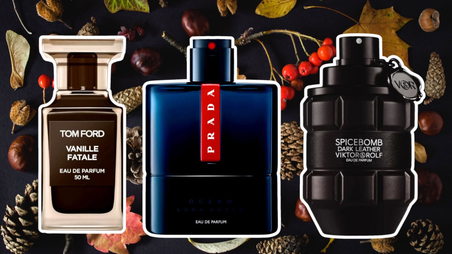 7 Must Try Musk Fragrances For Men Of Mystique Viora London